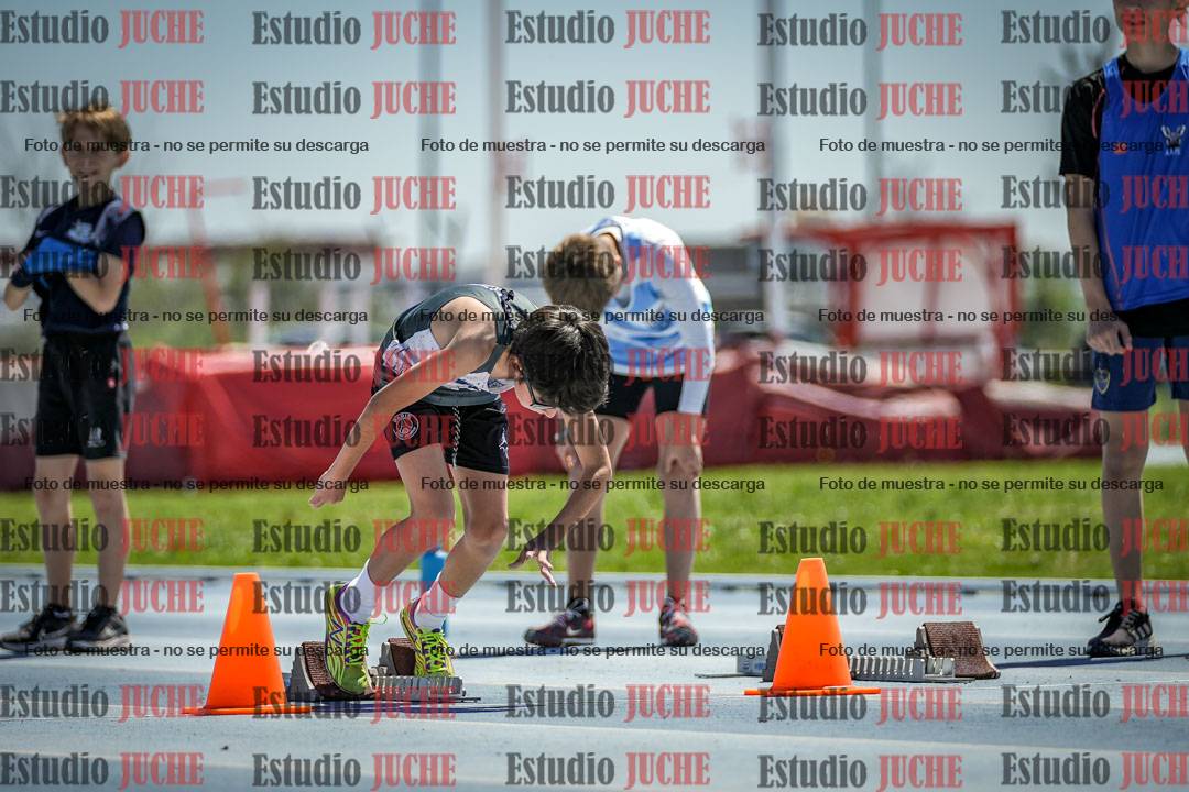 Fotos de los 60 m con vallas de varones