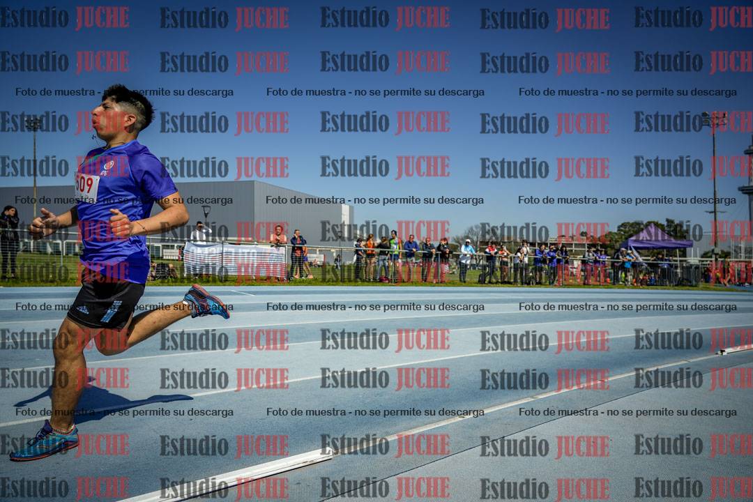 Fotos de los 800 m llanos de varones