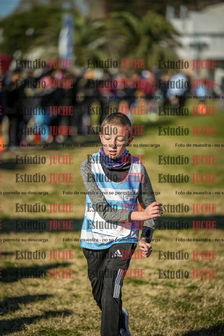 Fotos de las llegadas