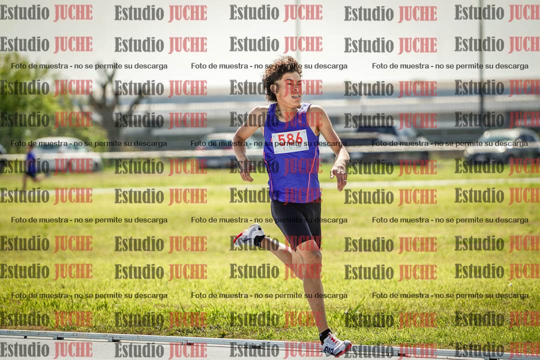 Fotos de los 800 m llanos de varones