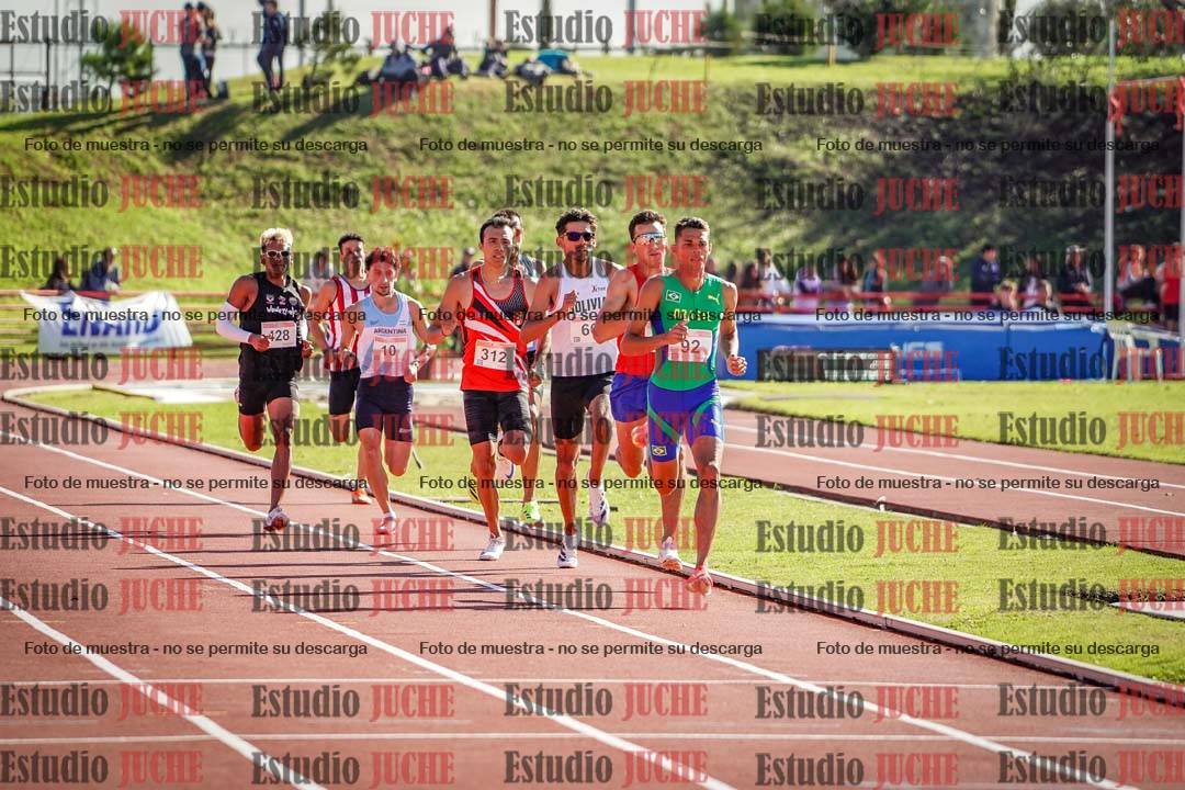 Fotos de los 800 m llanos de varones