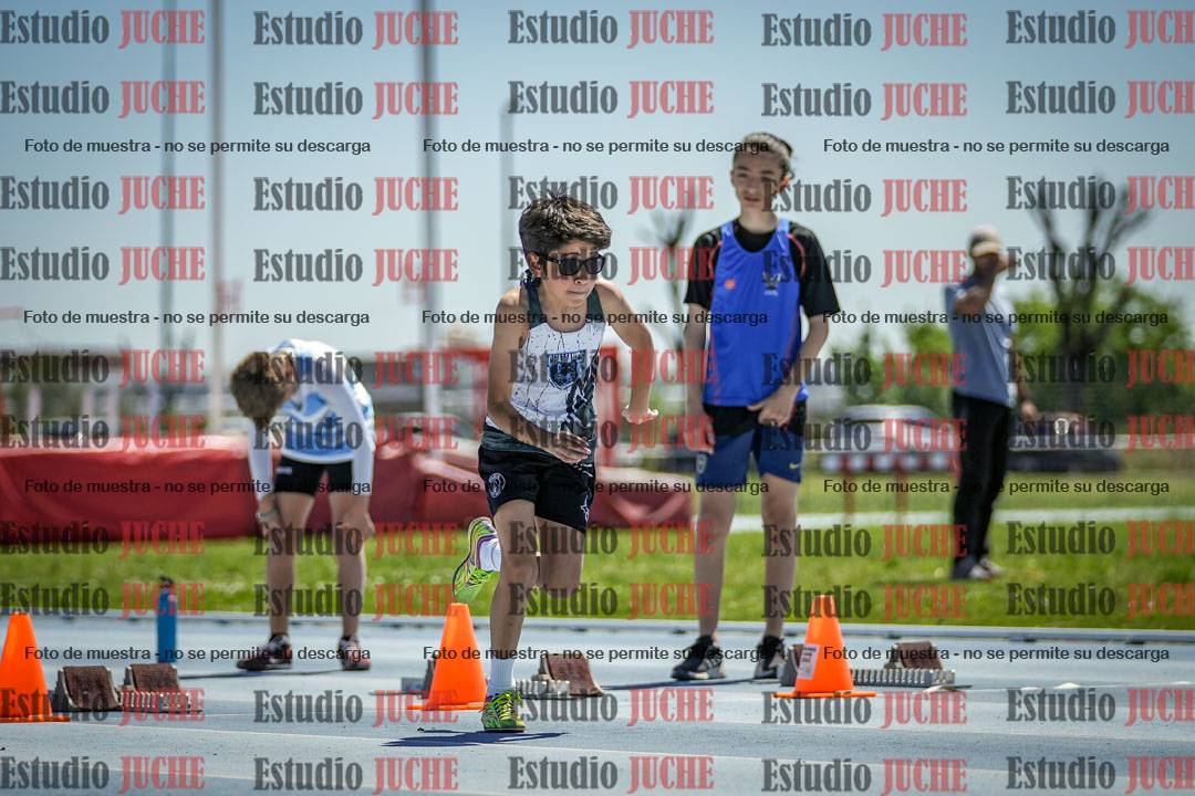 Fotos de los 60 m con vallas de varones