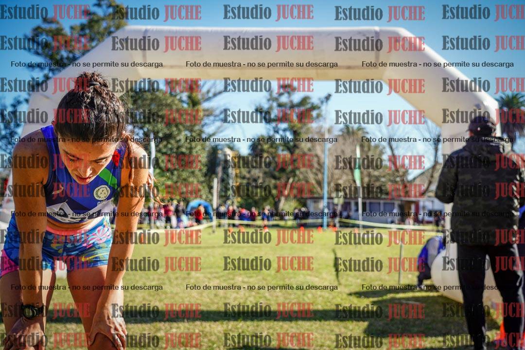 Fotos de la llegada del cross de 6000 m