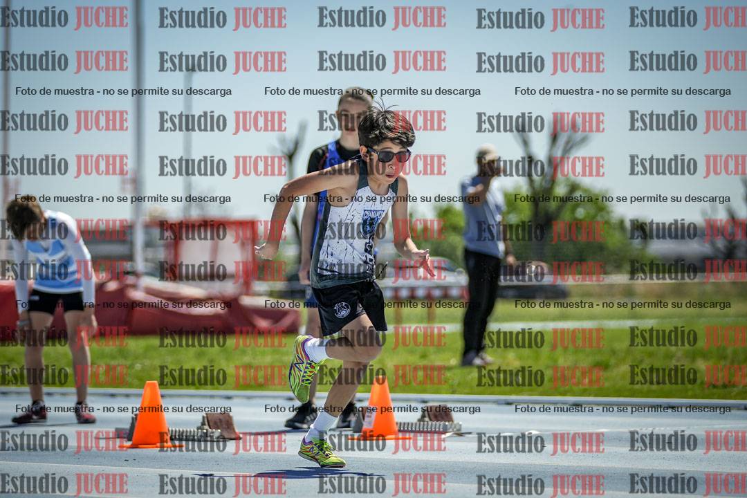 Fotos de los 60 m con vallas de varones