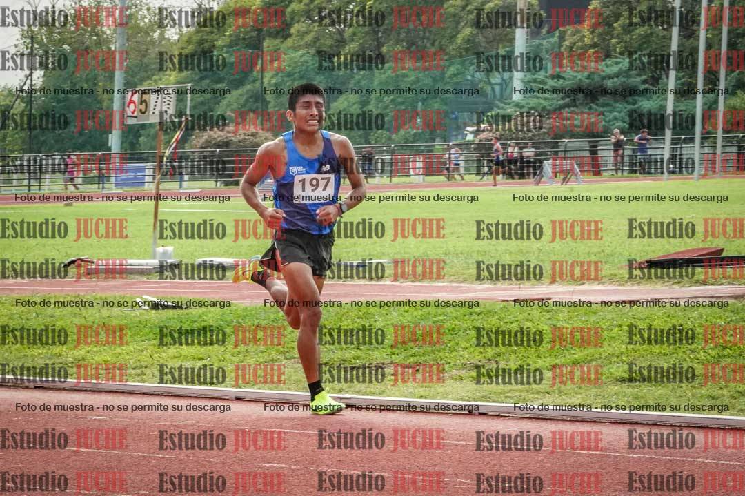 Fotos de los 3000 m llanos de varones