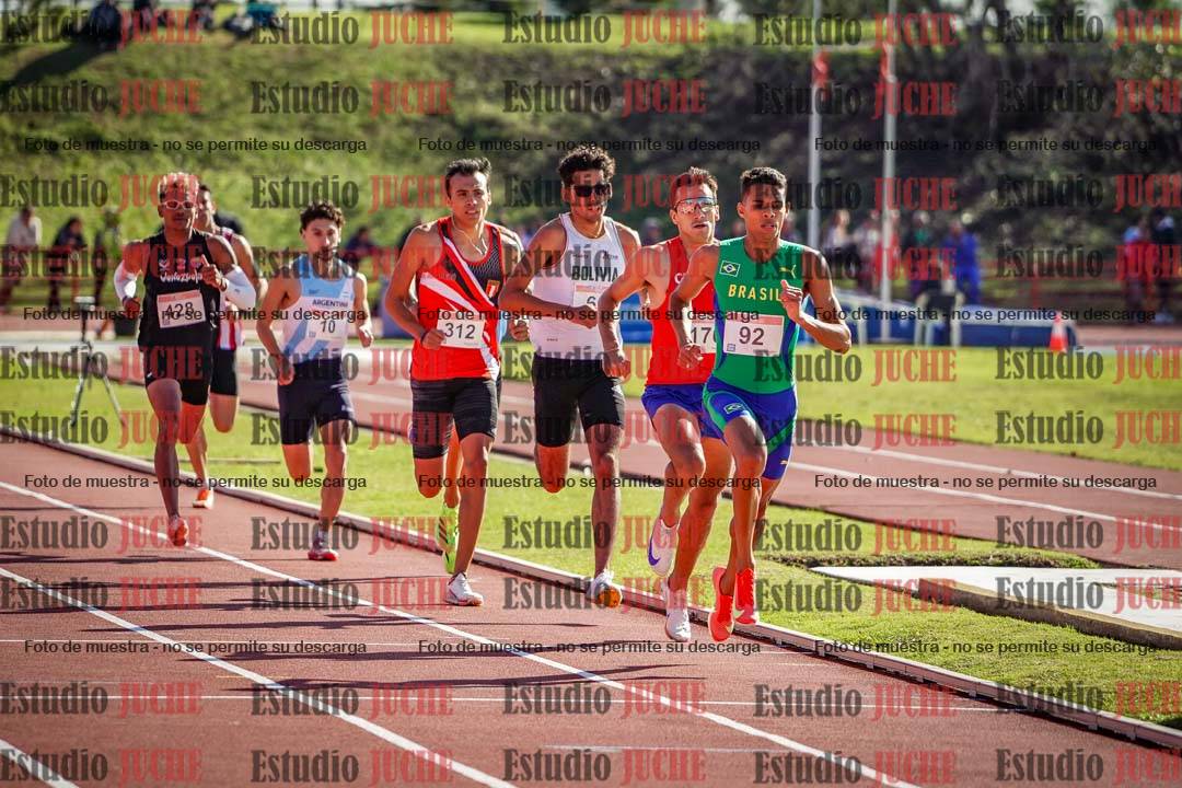 Fotos de los 800 m llanos de varones