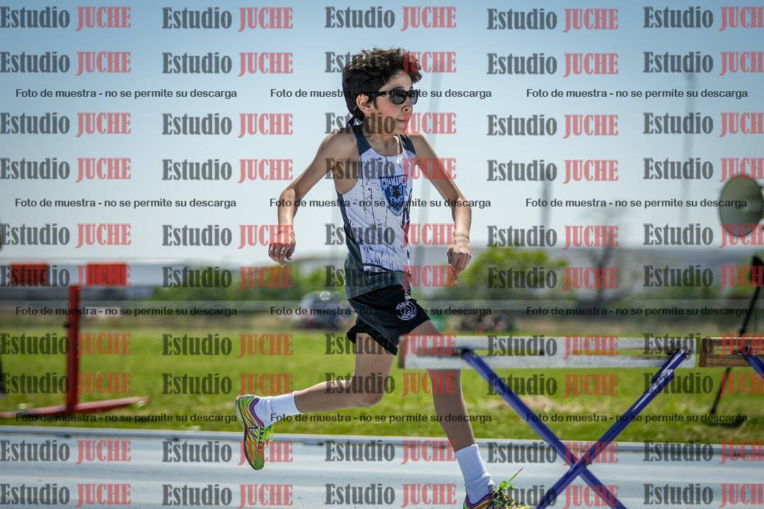 Fotos de los 60 m con vallas de varones