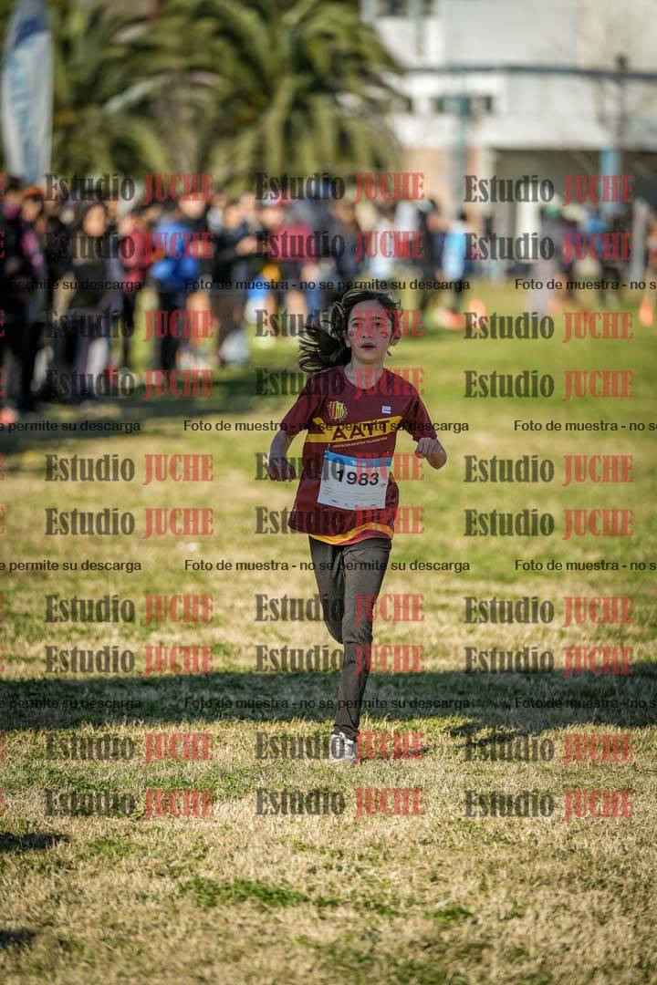 Fotos de las llegadas