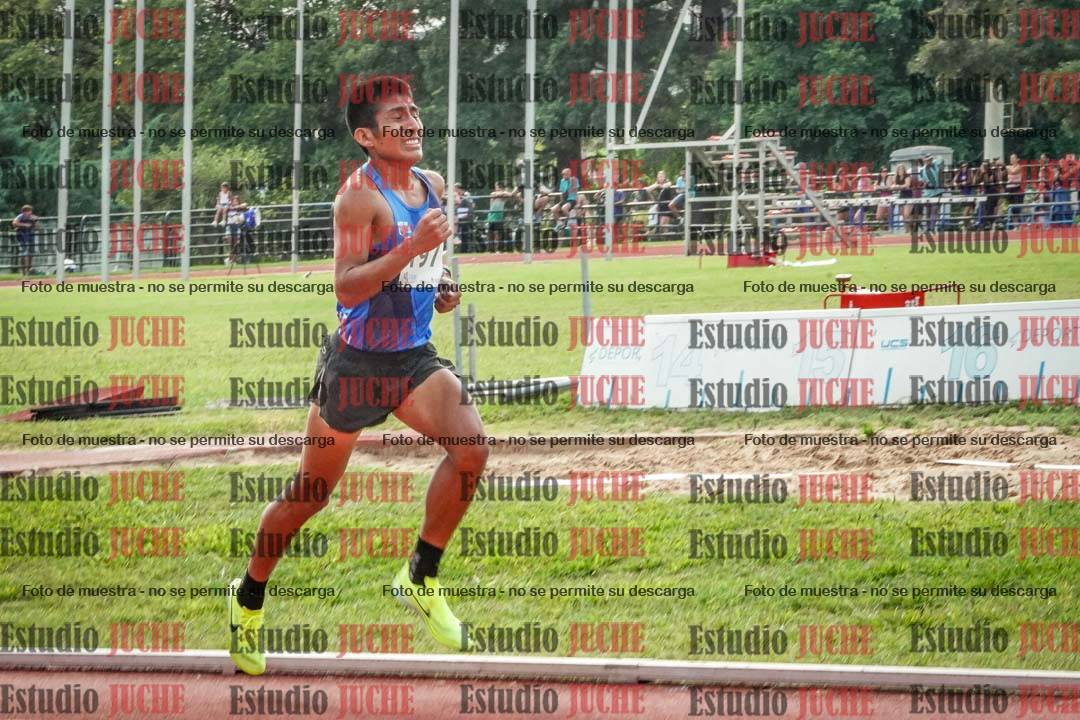 Fotos de los 3000 m llanos de varones