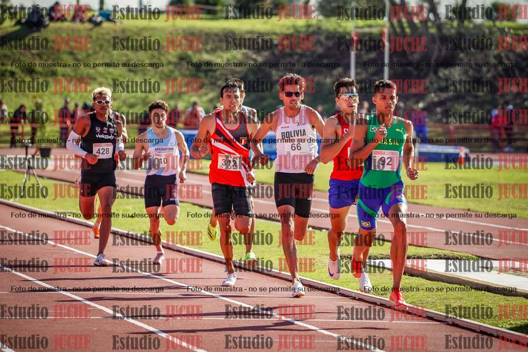Fotos de los 800 m llanos de varones