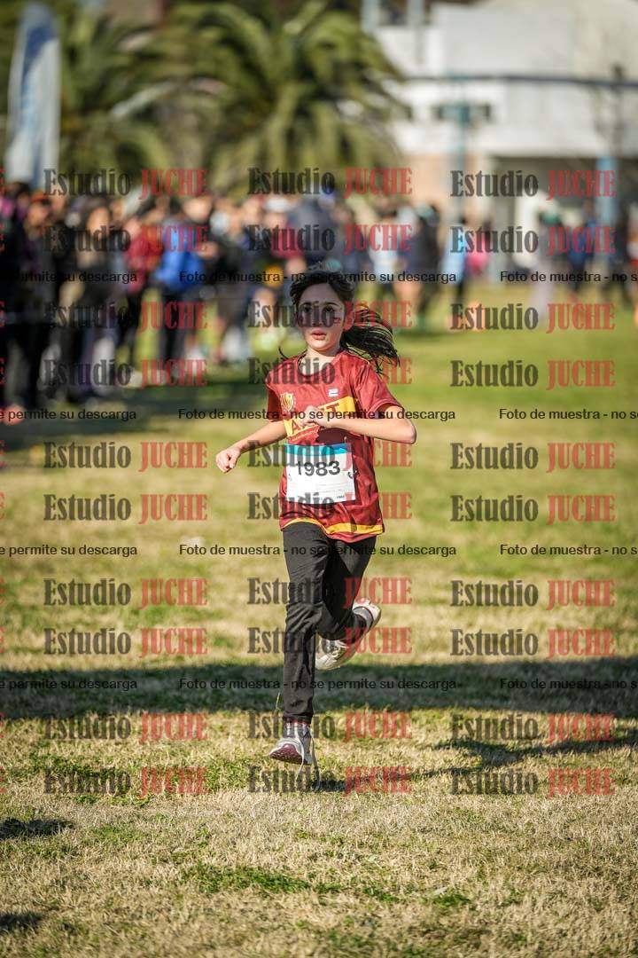 Fotos de las llegadas