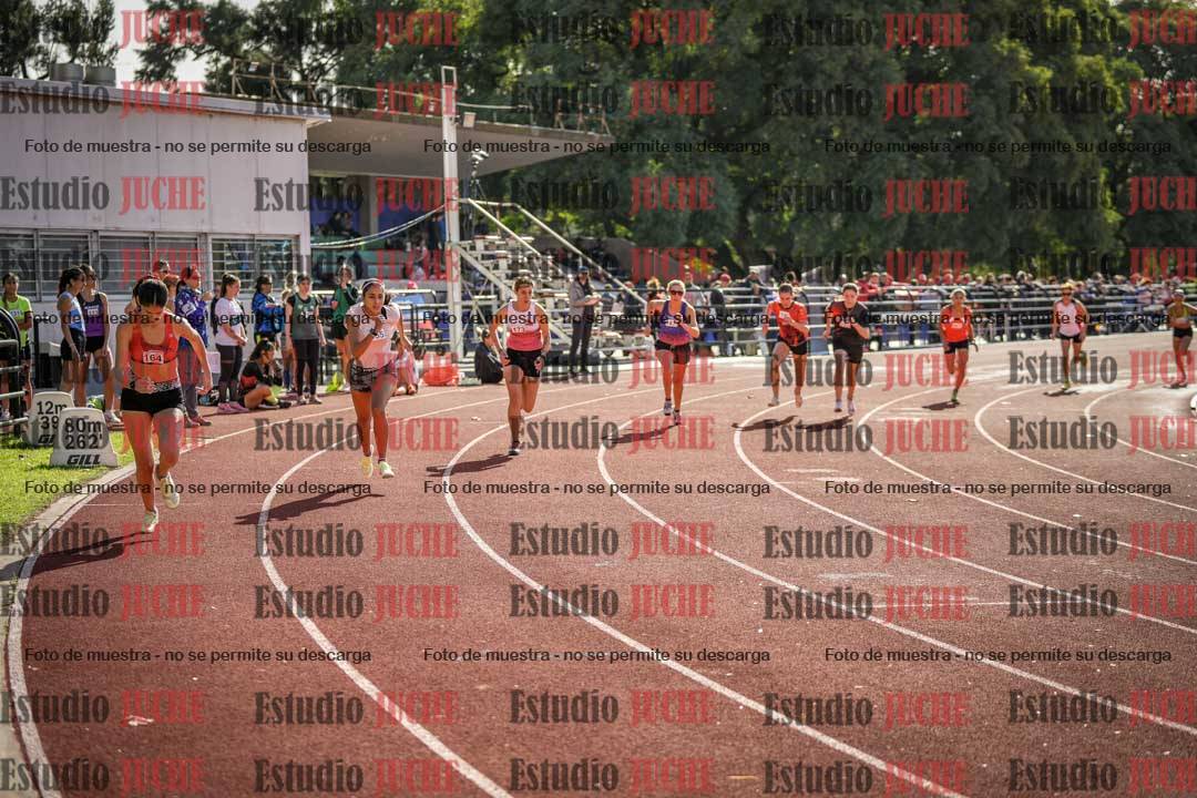 Fotos de los 800 m llanos de mujeres