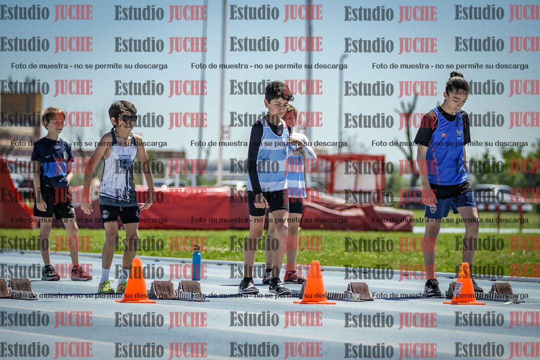 Fotos de los 60 m con vallas de varones