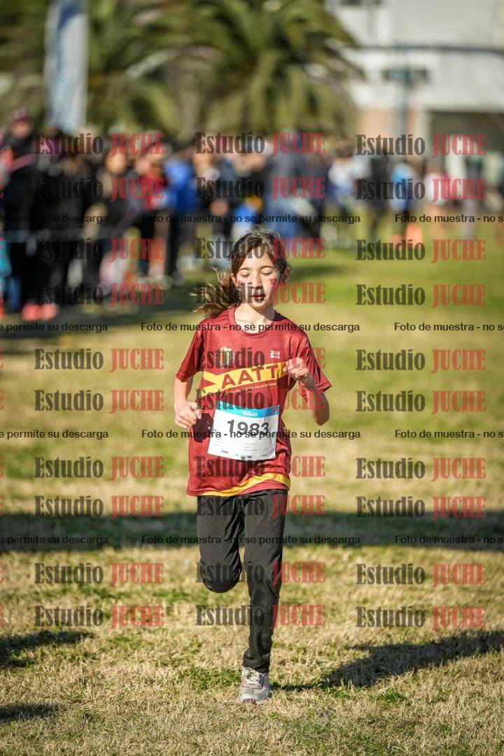 Fotos de las llegadas