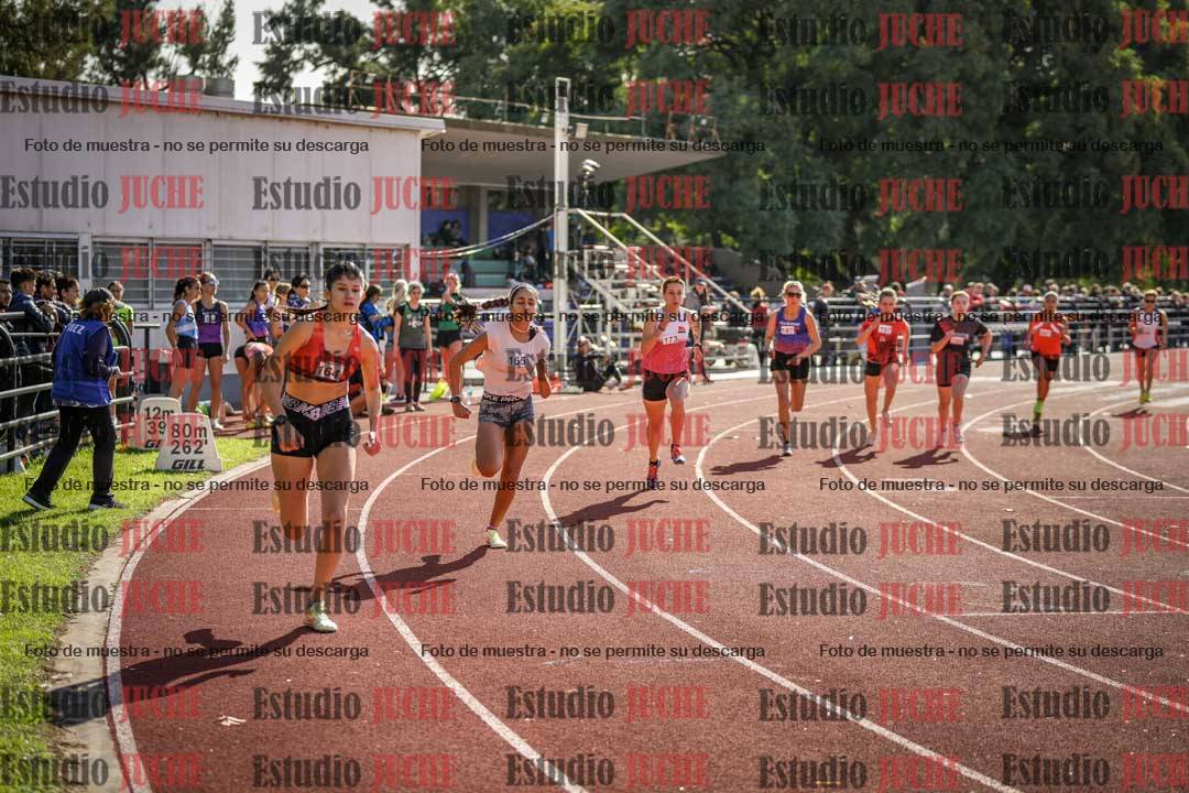 Fotos de los 800 m llanos de mujeres