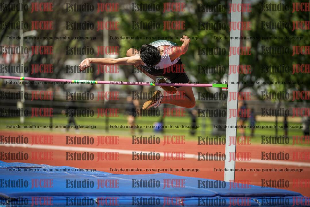 Fotos del salto en alto de varones