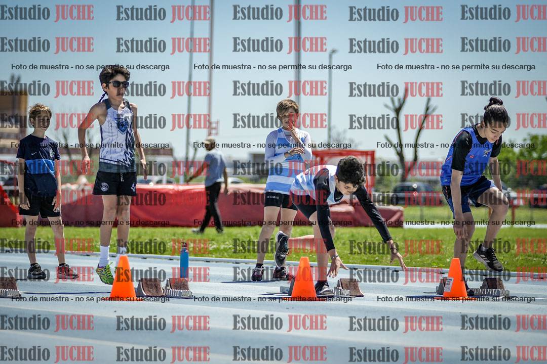 Fotos de los 60 m con vallas de varones