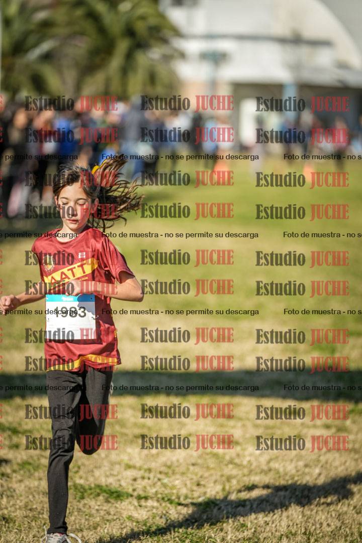 Fotos de las llegadas