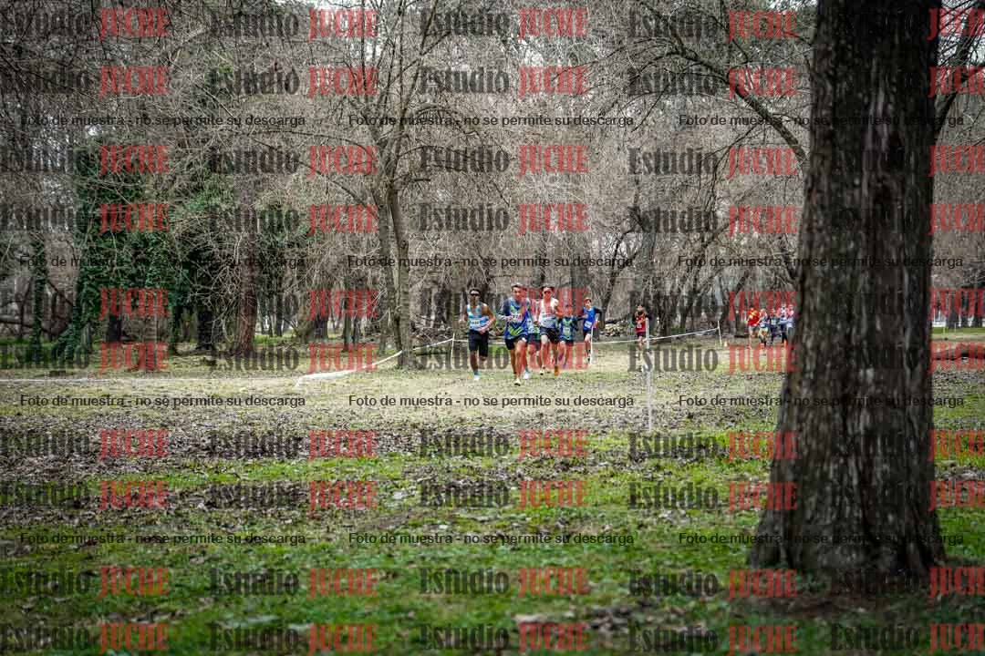 Fotos en el circuito