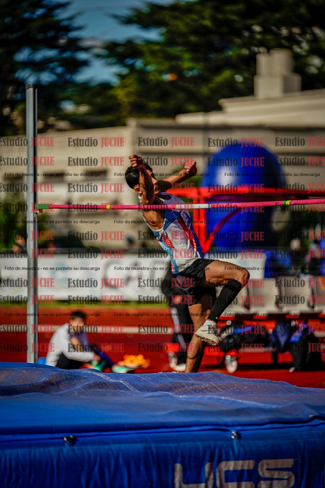 Fotos del salto en alto de varones