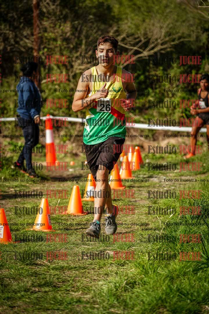 Fotos en el circuito
