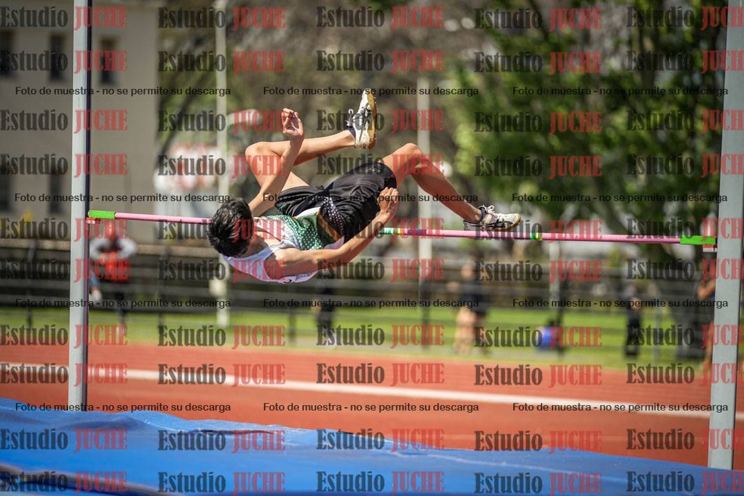 Fotos del salto en alto de varones