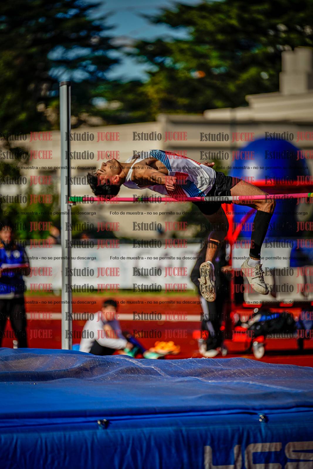 Fotos del salto en alto de varones