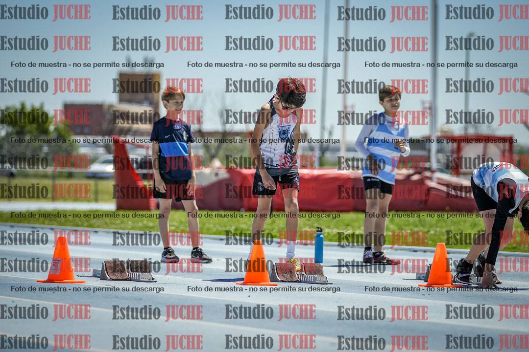 Fotos de los 60 m con vallas de varones