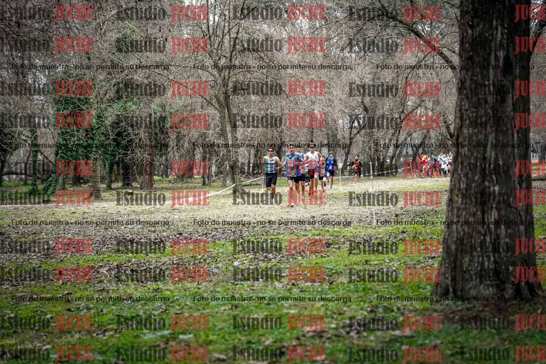 Fotos en el circuito