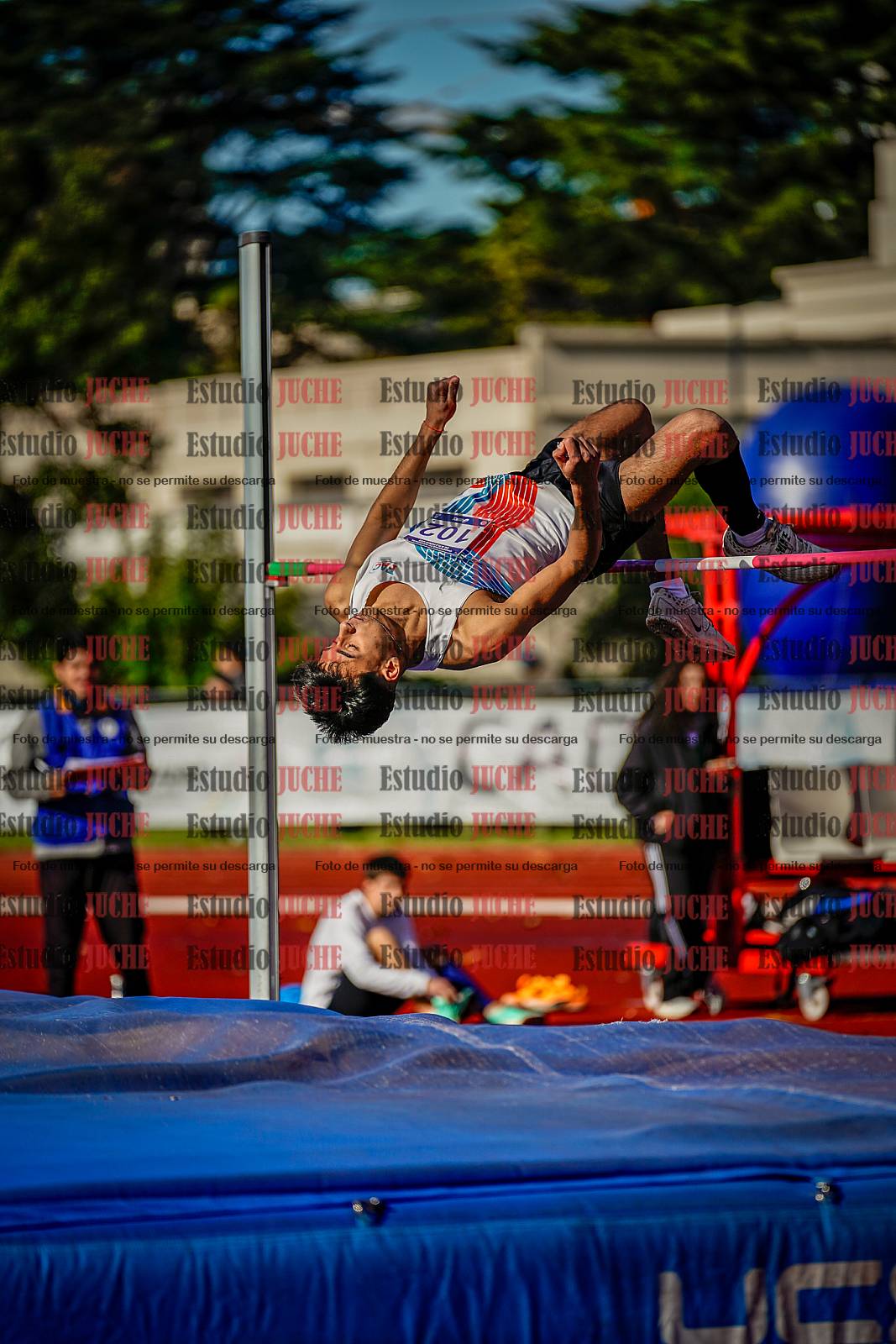 Fotos del salto en alto de varones