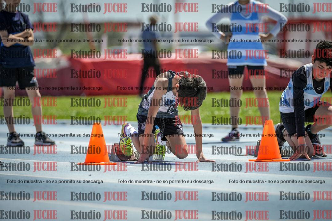 Fotos de los 60 m con vallas de varones