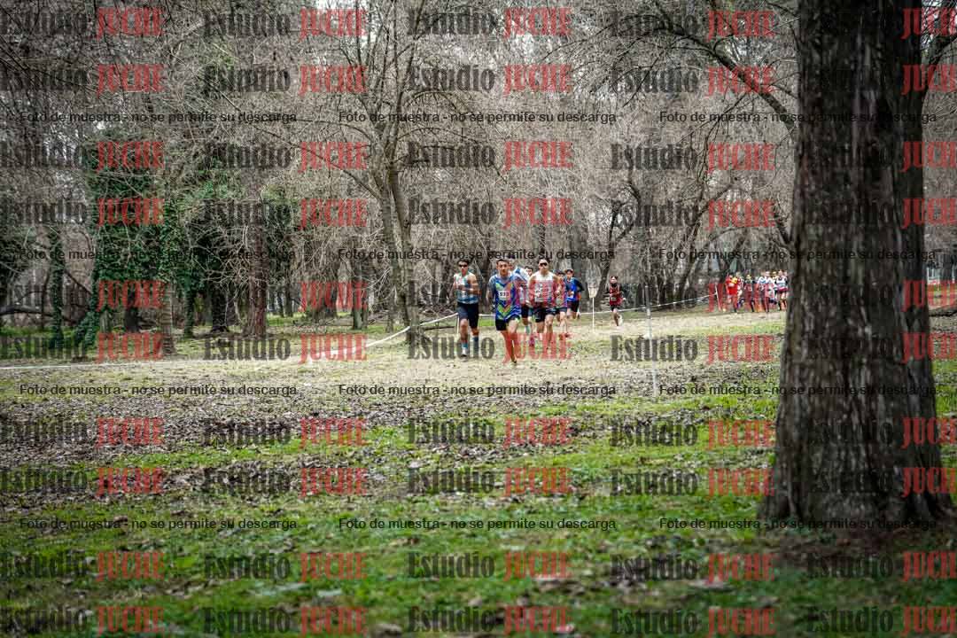 Fotos en el circuito