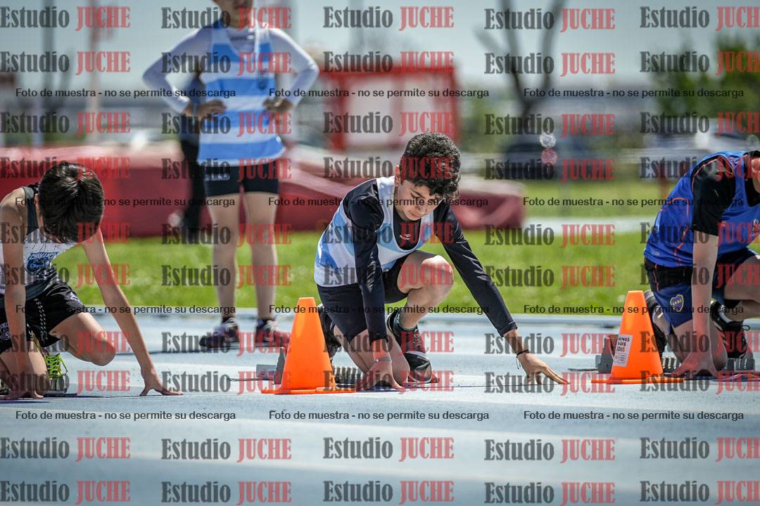 Fotos de los 60 m con vallas de varones