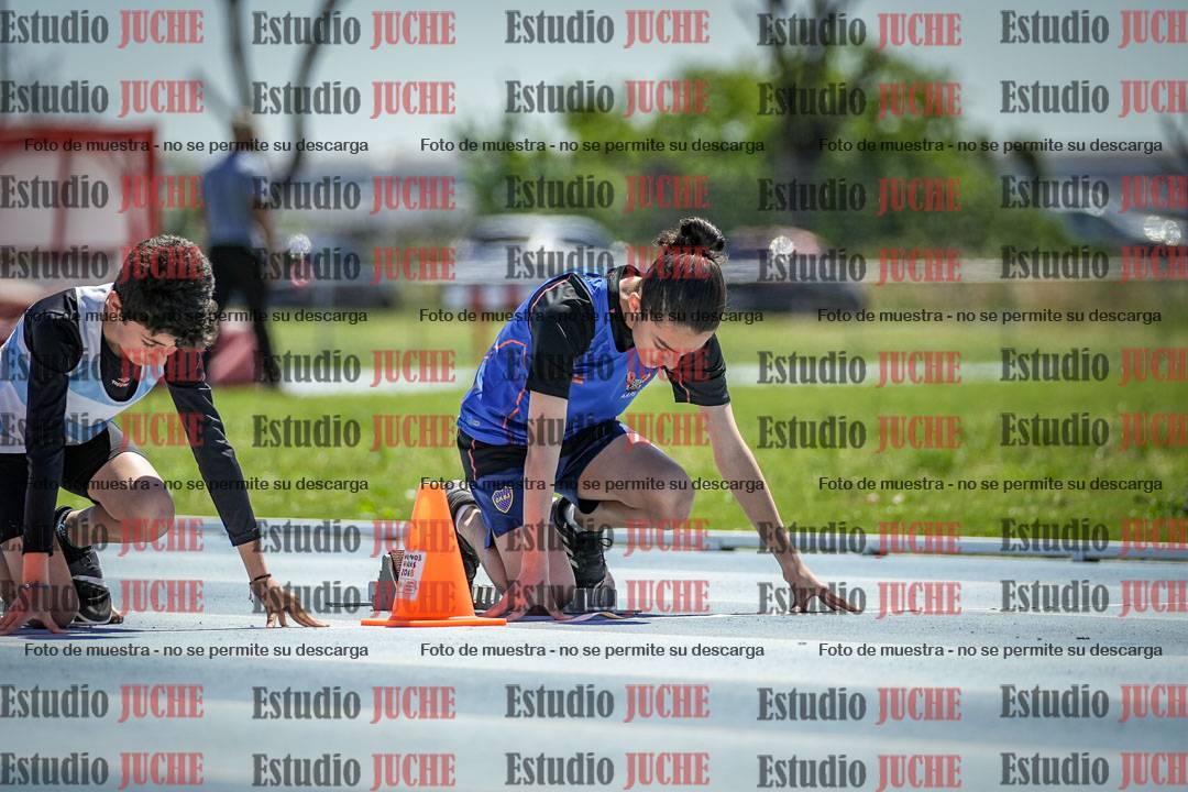Fotos de los 60 m con vallas de varones