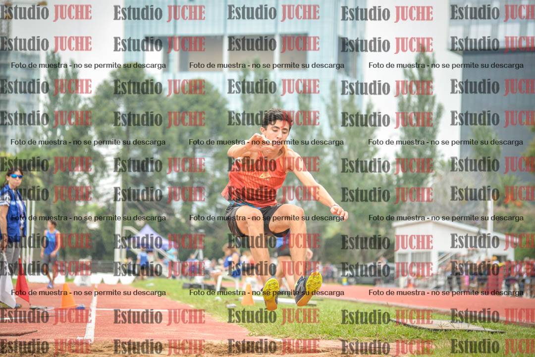 Fotos del salto triple - tabla de 8 y 10