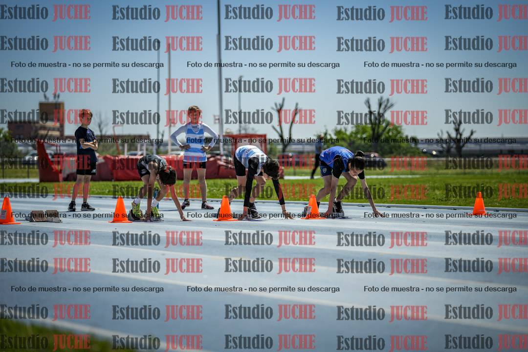 Fotos de los 60 m con vallas de varones