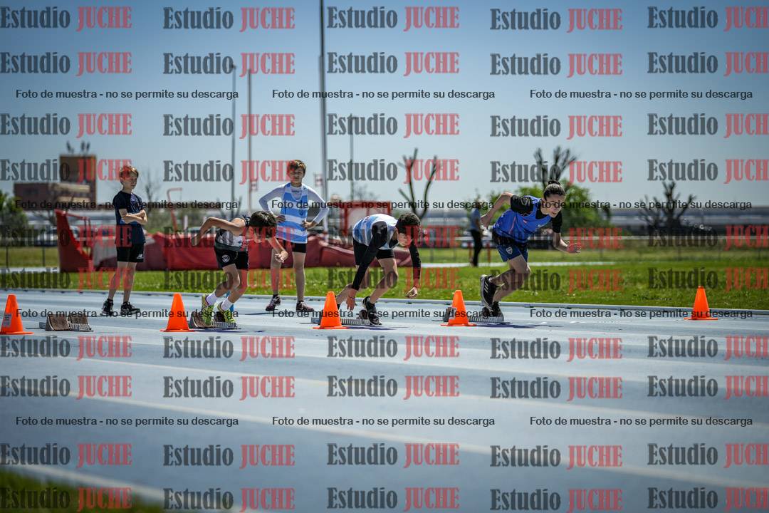 Fotos de los 60 m con vallas de varones