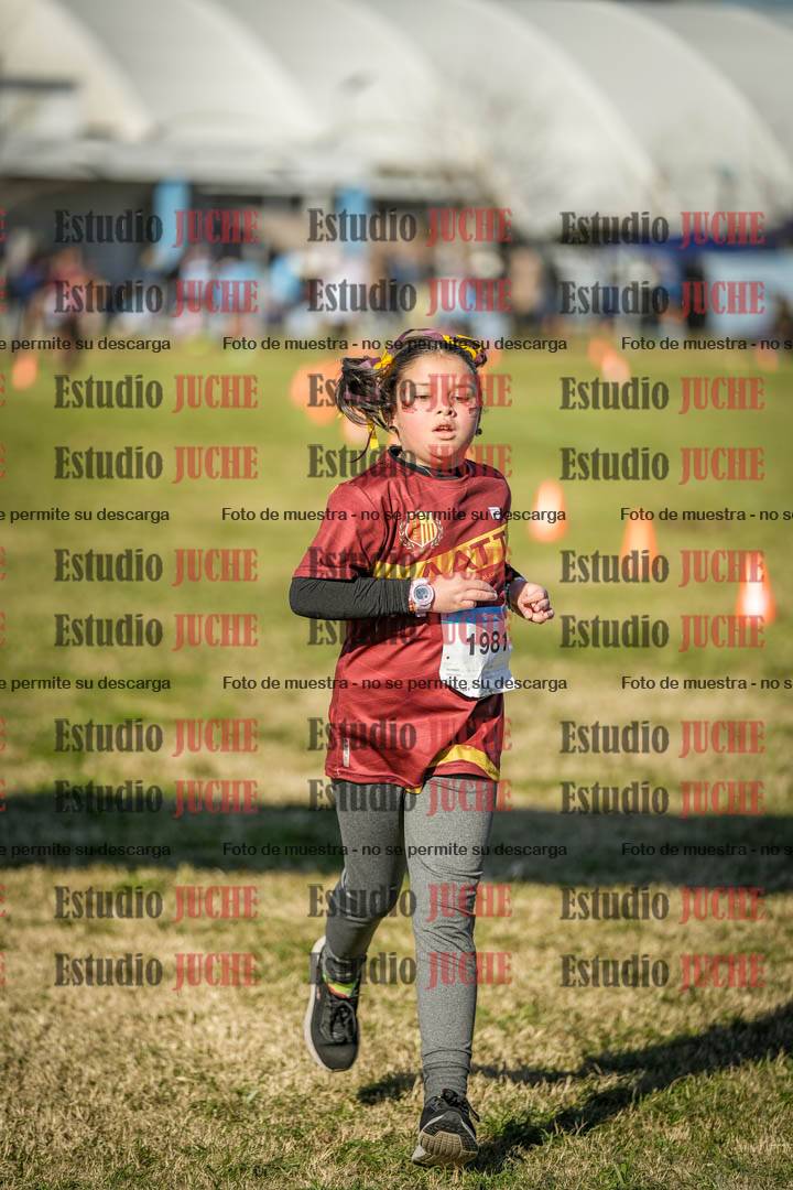 Fotos de las llegadas