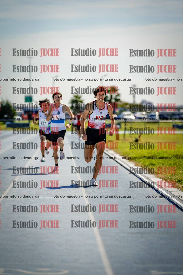 Fotos de los 800 m llanos de varones