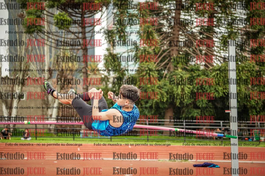 Fotos del salto en alto de varones