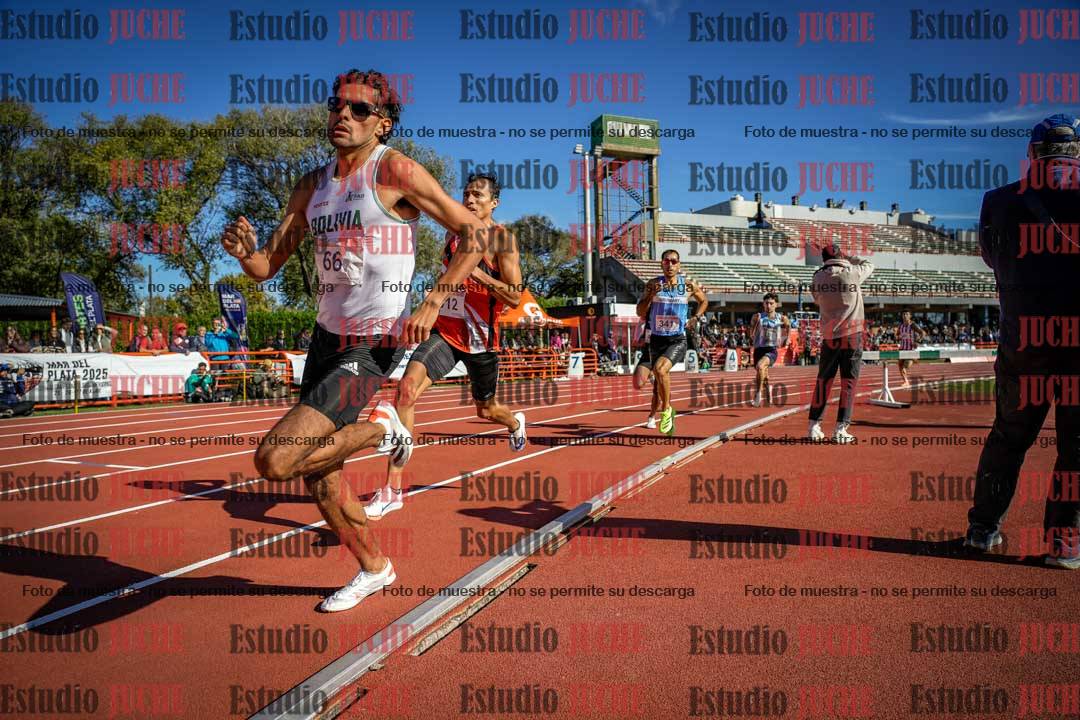 Fotos de los 800 m llanos de varones