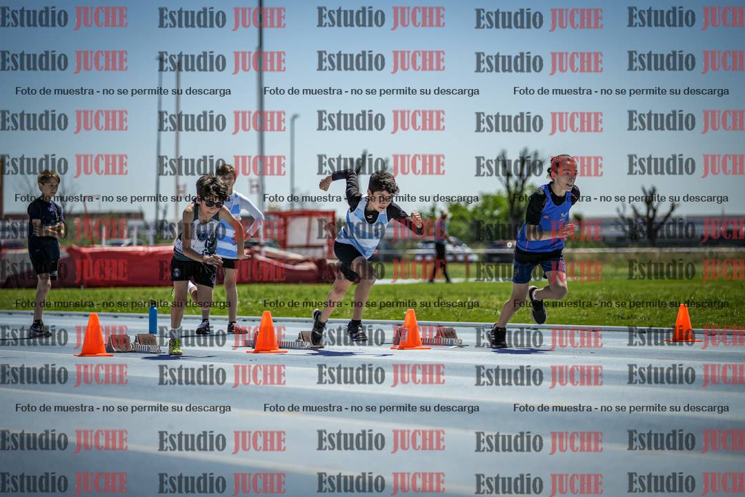 Fotos de los 60 m con vallas de varones