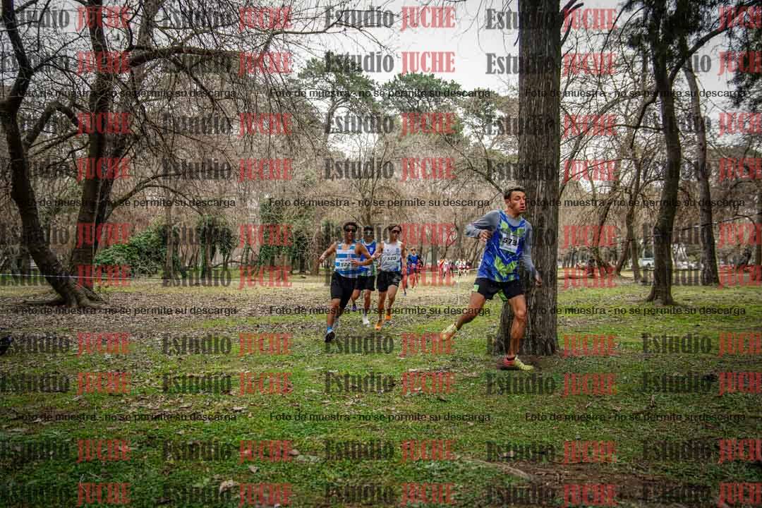 Fotos en el circuito
