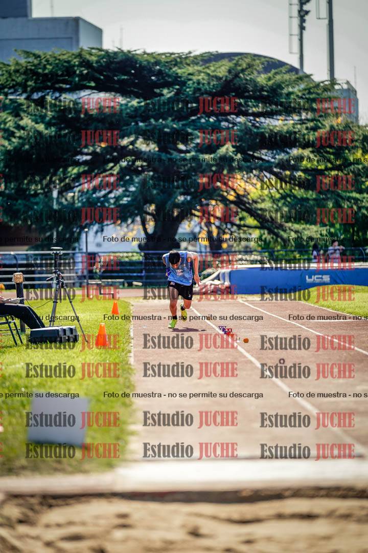 Fotos del salto en largo de varones
