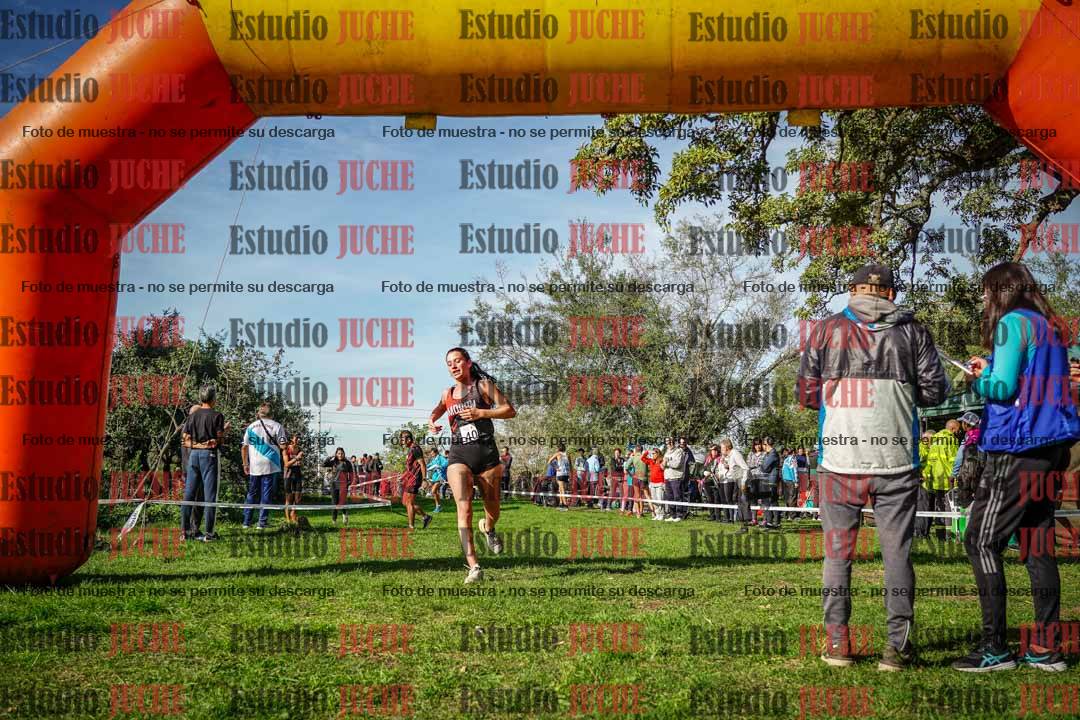 Fotos de la llegada del cross de 6000 m