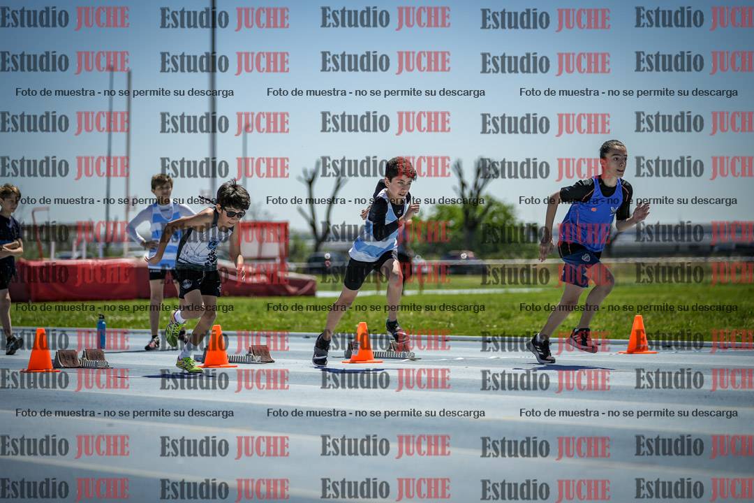 Fotos de los 60 m con vallas de varones