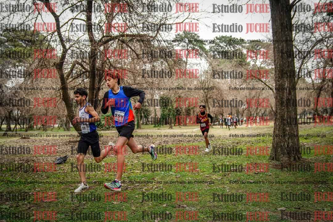 Fotos en el circuito