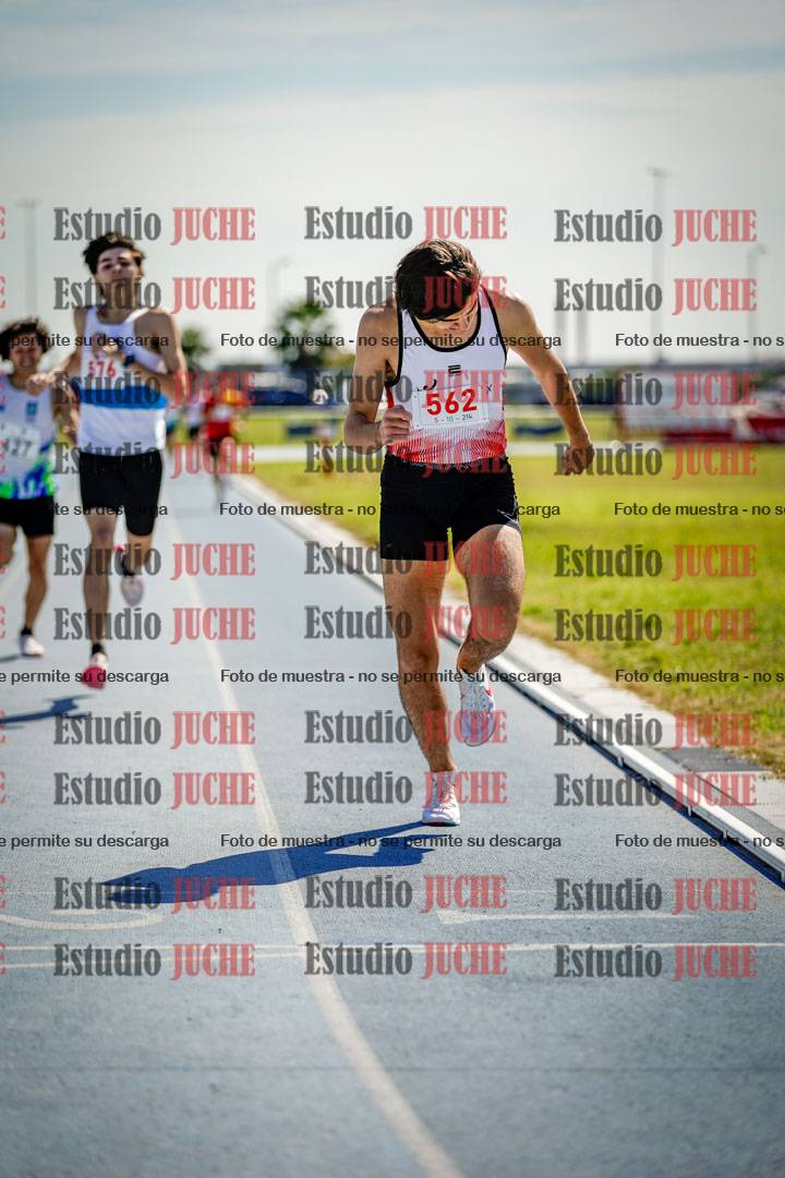 Fotos de los 800 m llanos de varones