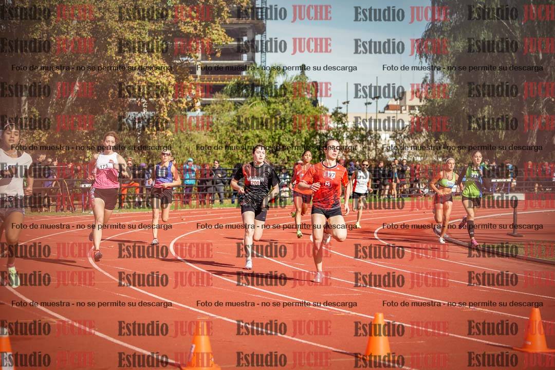 Fotos de los 800 m llanos de mujeres