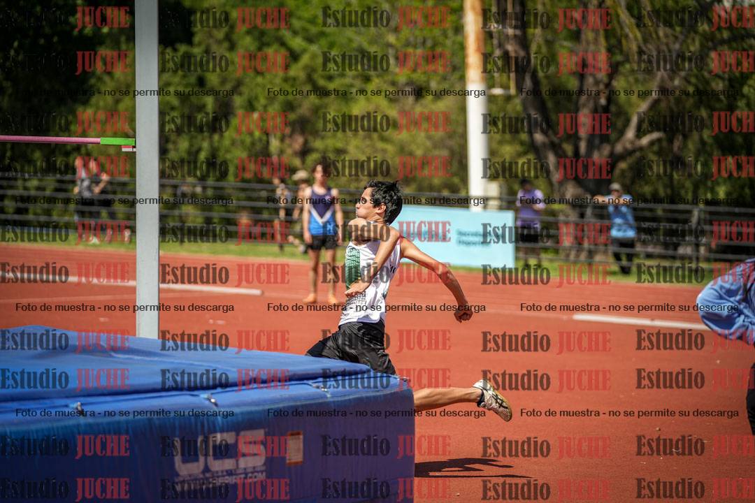 Fotos del salto en alto de varones